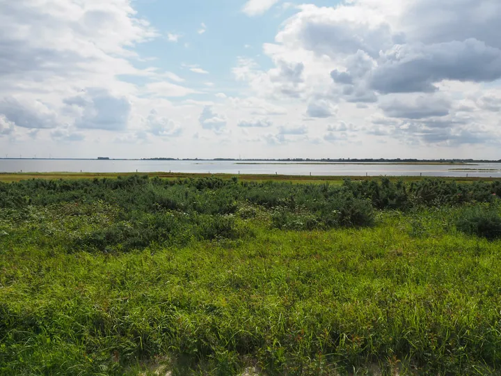 Halshuisene + Enebaerodde Beach (Denemarken)